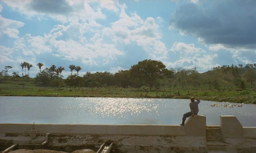 Filmando o Som – Walter Goulart